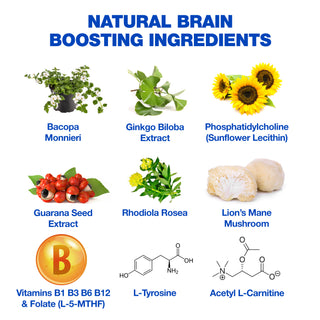 Brain Boost Nootropic High Strength Focus Supplement for Memory, Mood & Clarity with Lions Mane, Ginkgo Biloba, Bacopa, L-Carnitine, Guarana, L-Tyrosine, Rhodiola Rosea, Vitamin B12, B3, B6, & Folate